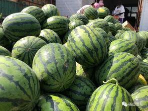 砀山最新吃瓜爆料新闻视频,视频揭秘惊人内幕！